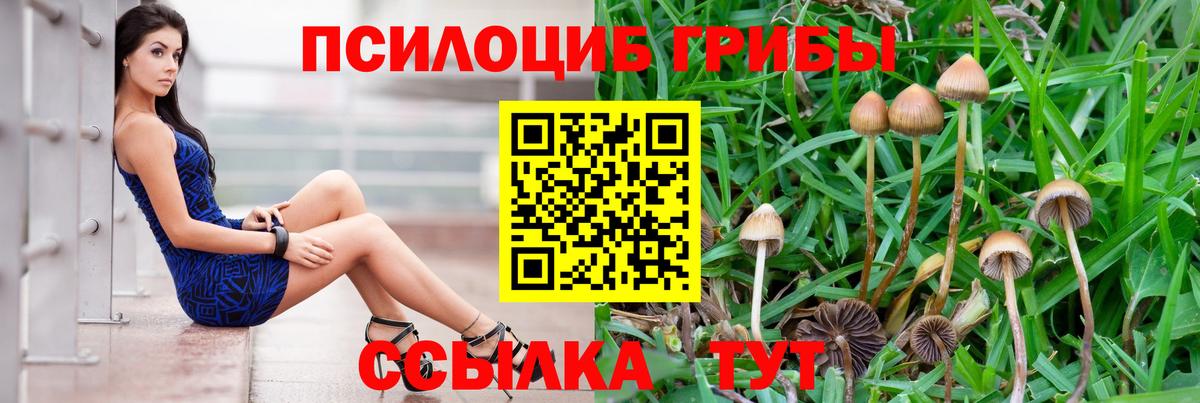 Галлюциногенные грибы Magic Shrooms  Вход с VPN  Псилоцибиновые грибы ЛСД  Отрадное 