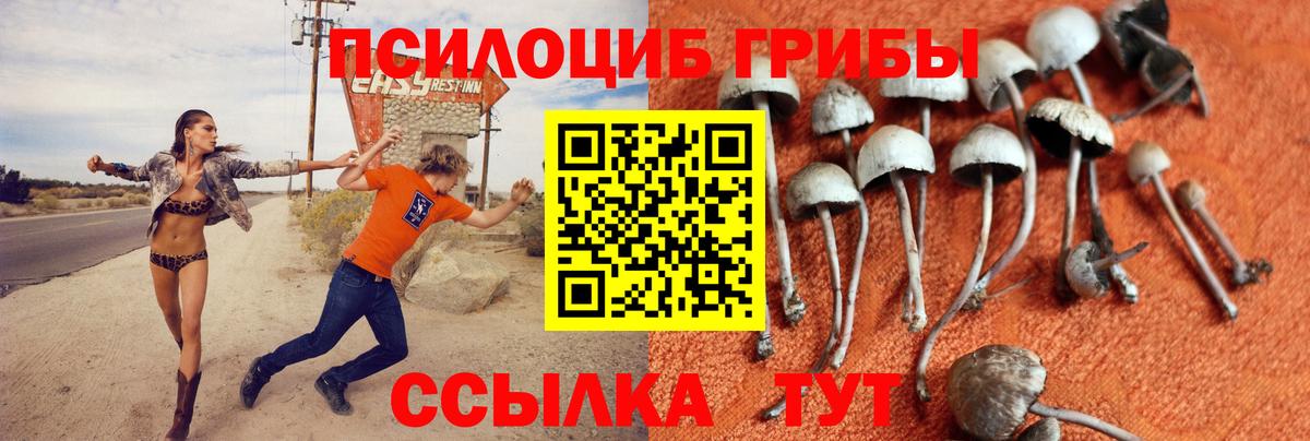 Псилоцибиновые грибы ЛСД Отрадное